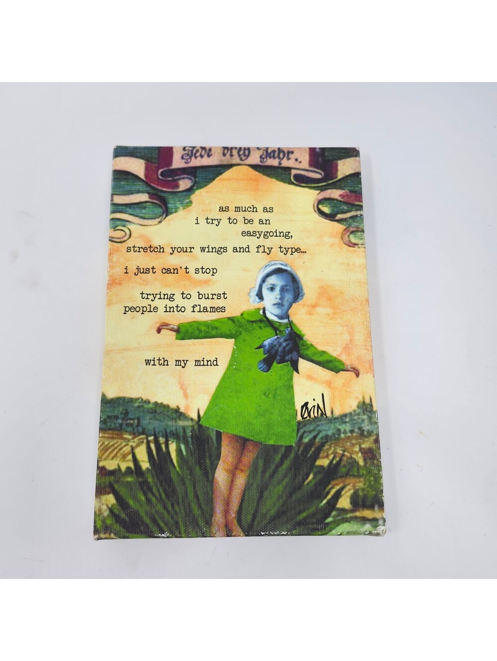Erin Smith Art “Burst People Into Flames” Canvas Wall Art 9x6 Humor